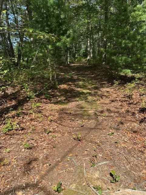 Single Family Residence at 26 Mordecai Lincoln Road, Scituate MA 02066, photo 10 of 36