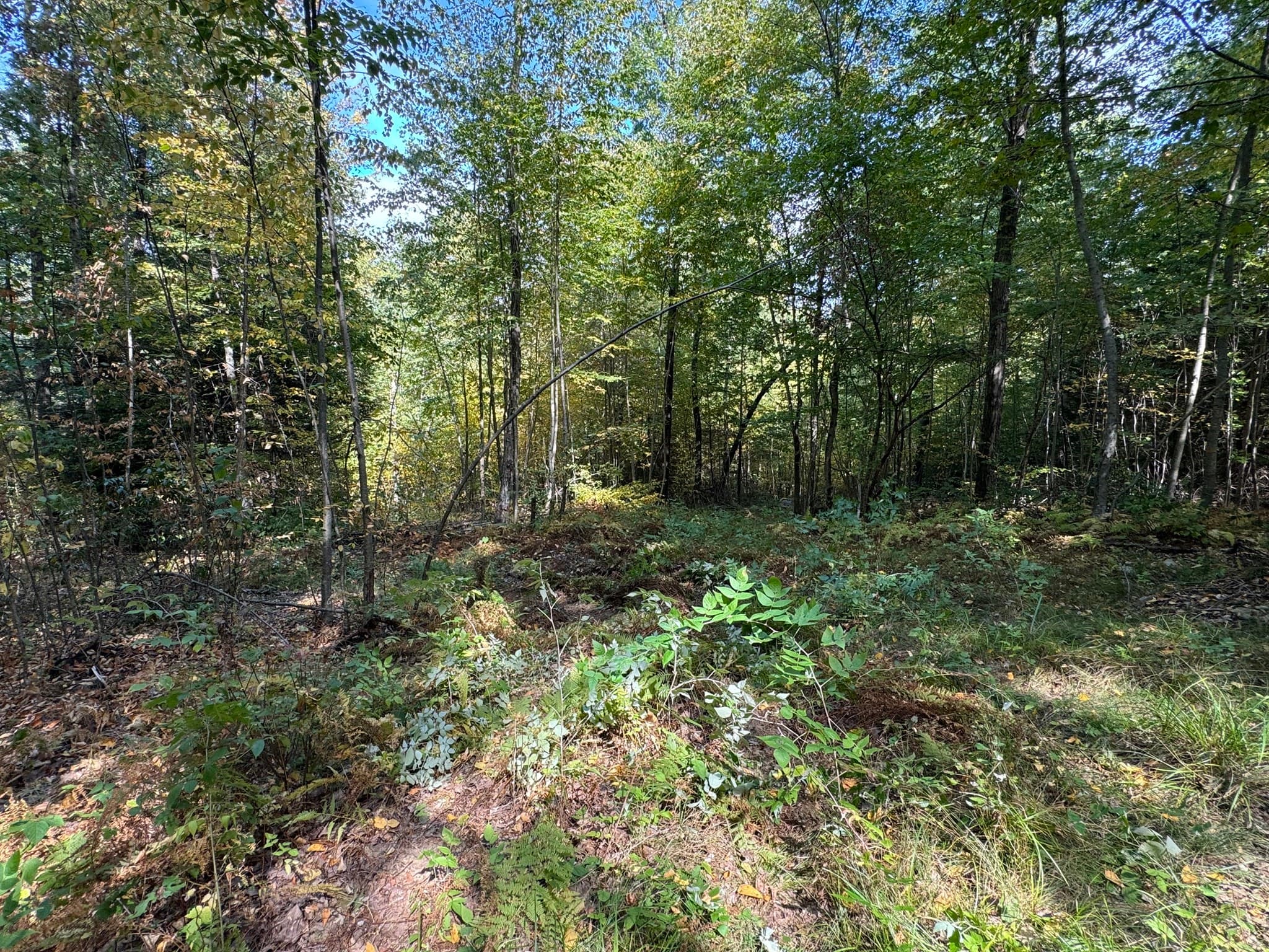 Residential at 29, 31, 33 Ladd Rd, Sturbridge MA 01566, photo 12 of 13