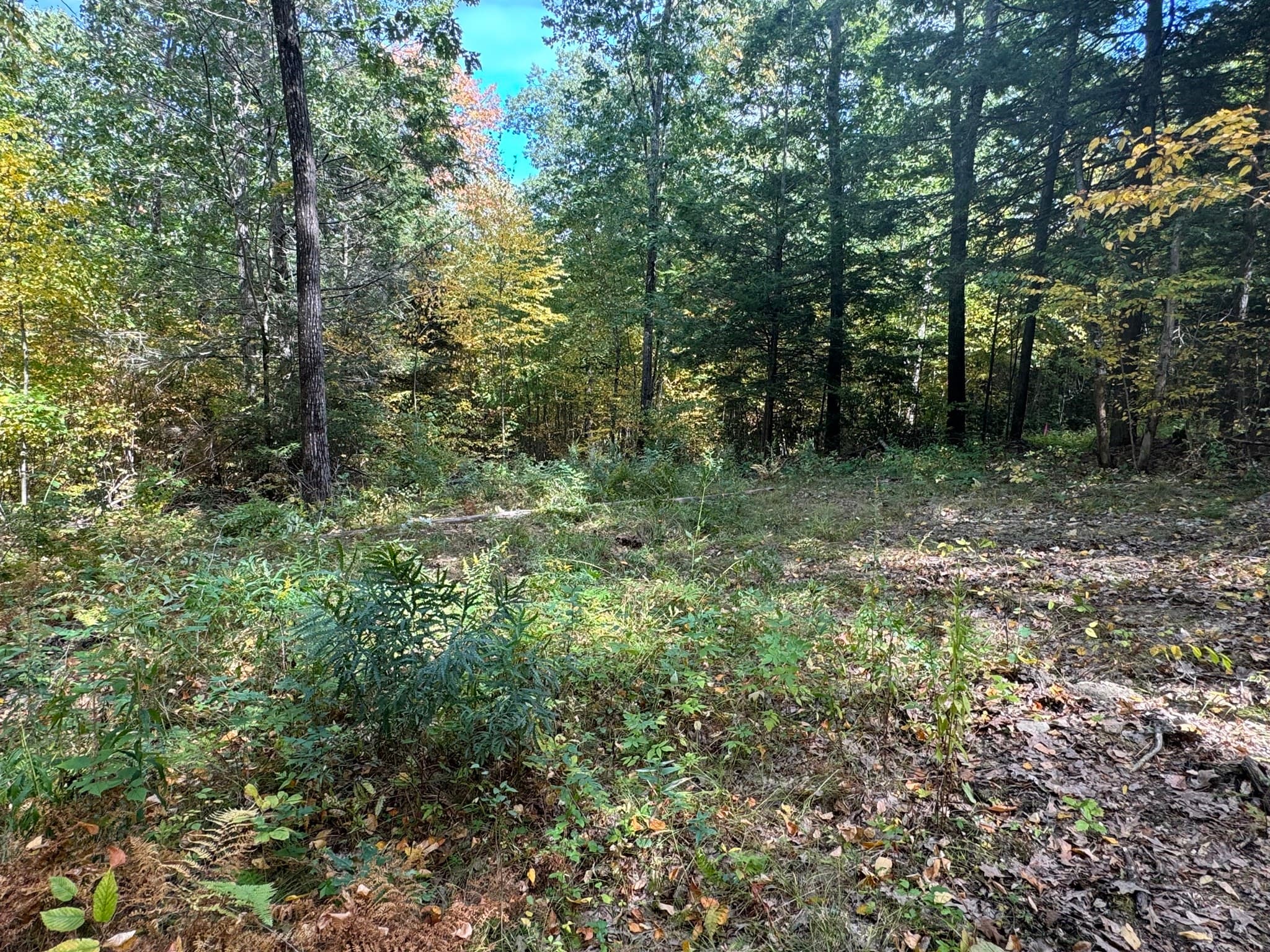 Residential at 29, 31, 33 Ladd Rd, Sturbridge MA 01566, photo 9 of 13