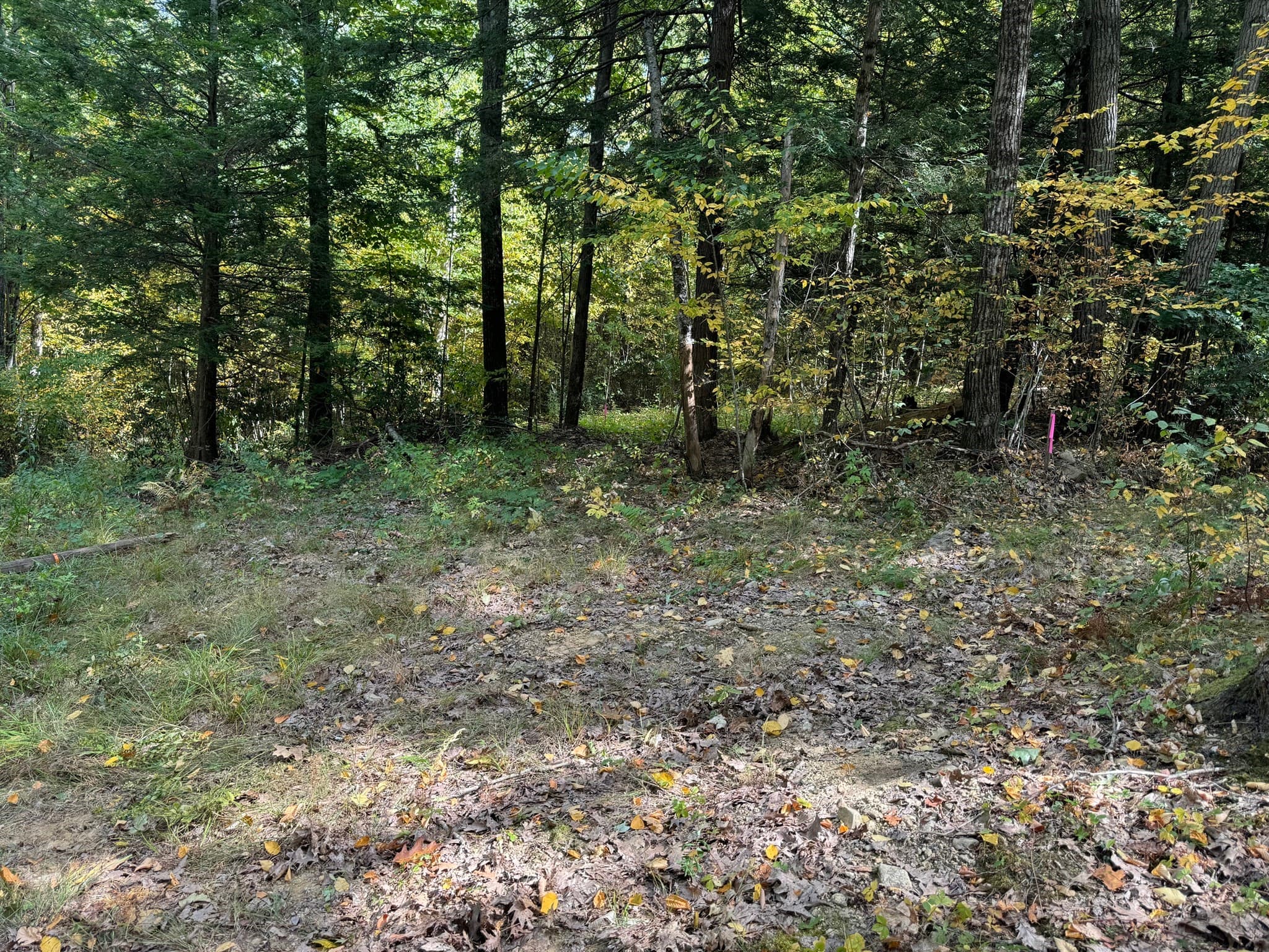 Residential at 29, 31, 33 Ladd Rd, Sturbridge MA 01566, photo 10 of 13