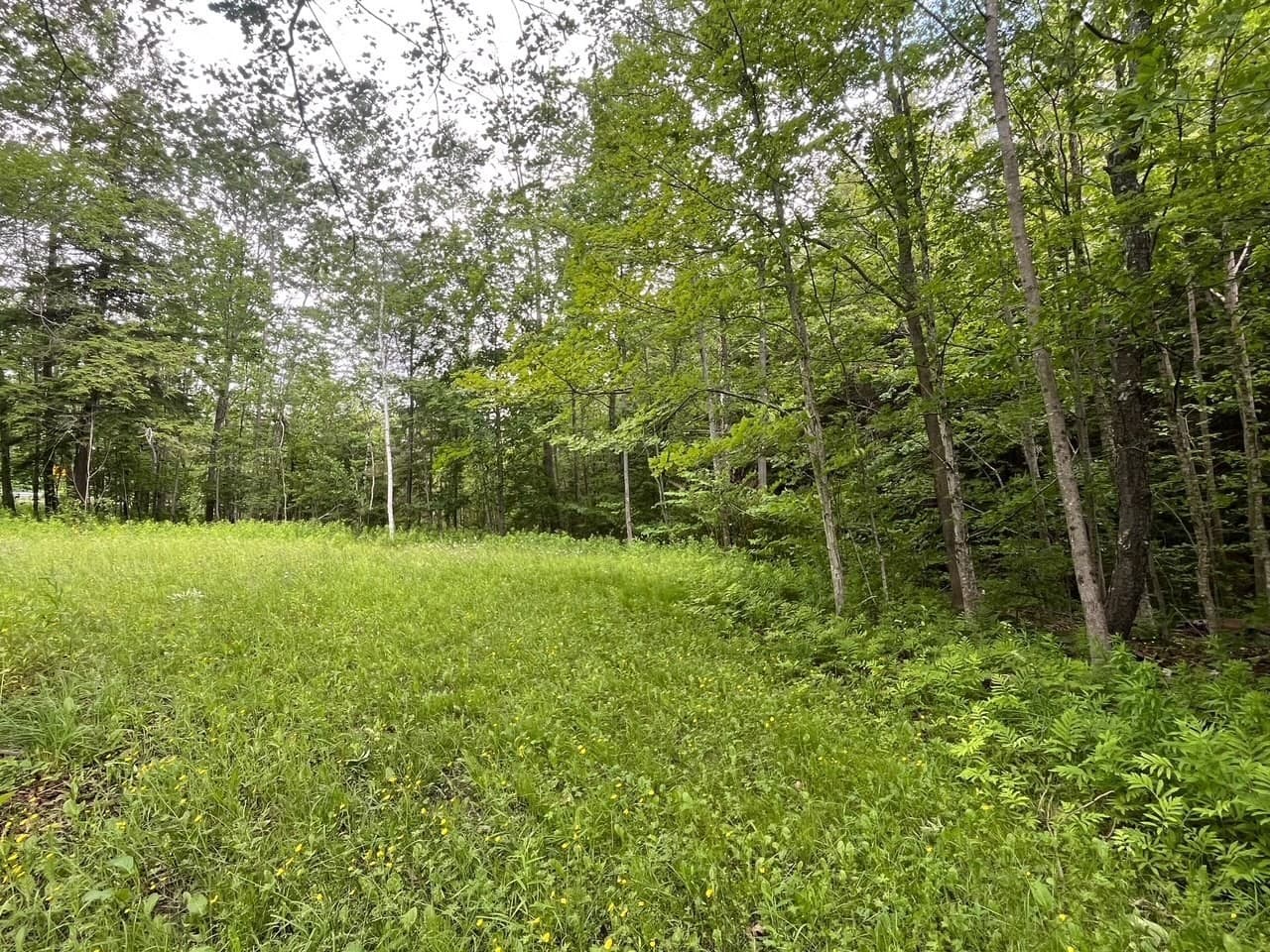 Single Family Residence at 477 Mohawk Trl, Florida MA 01343, photo 7 of 9