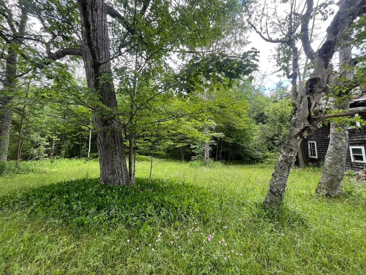 Single Family Residence at 477 Mohawk Trl, Florida MA 01343, photo 3 of 9