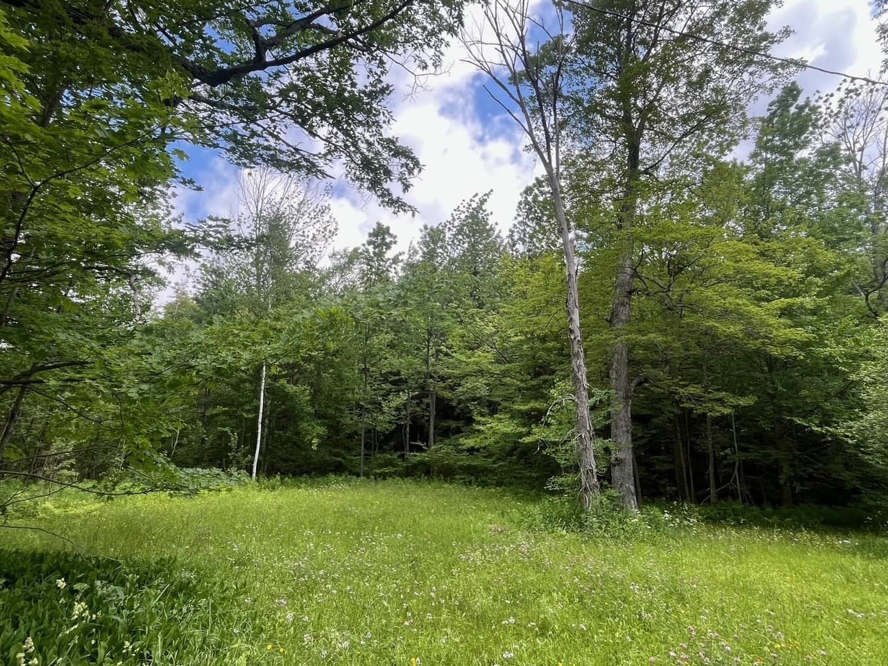 Single Family Residence at 477 Mohawk Trl, Florida MA 01343, photo 4 of 9