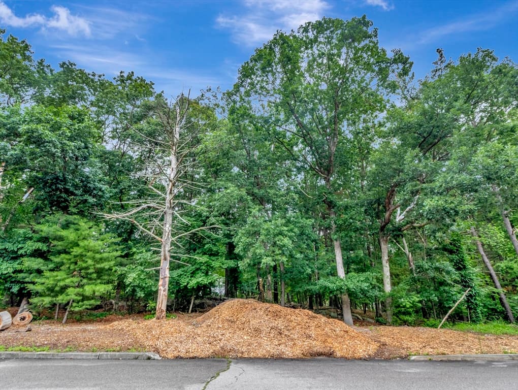 15 Randall Farm Drive, Easton MA 02356 photo 2