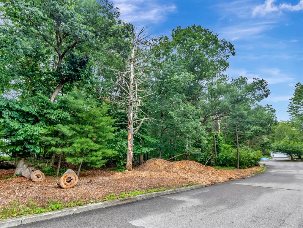 15 Randall Farm Drive, Easton MA 02356 photo 3