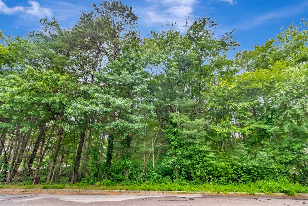 15 Randall Farm Drive, Easton MA 02356 photo 9