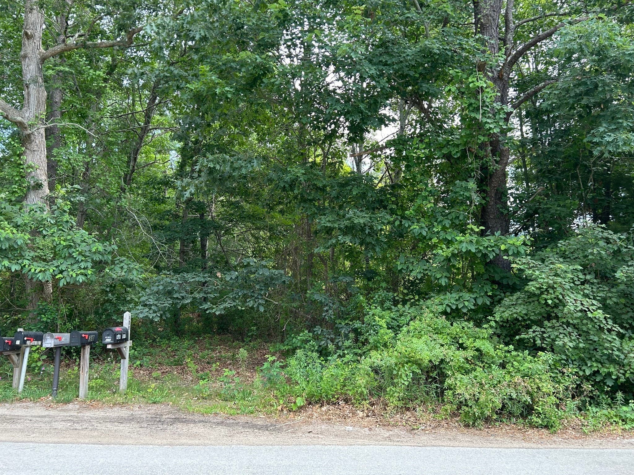 Non-Buildable at 12 Taft Street, Wareham MA 02571, photo 7 of 7