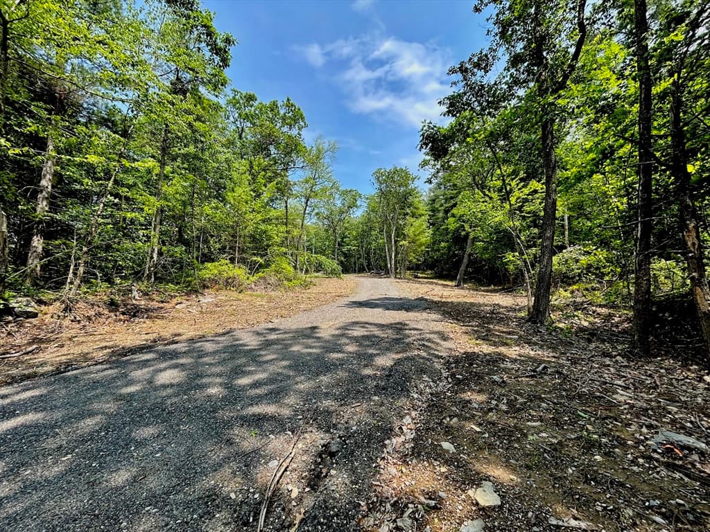 5 Pine Woods Ln, Sterling MA 01564 photo 6