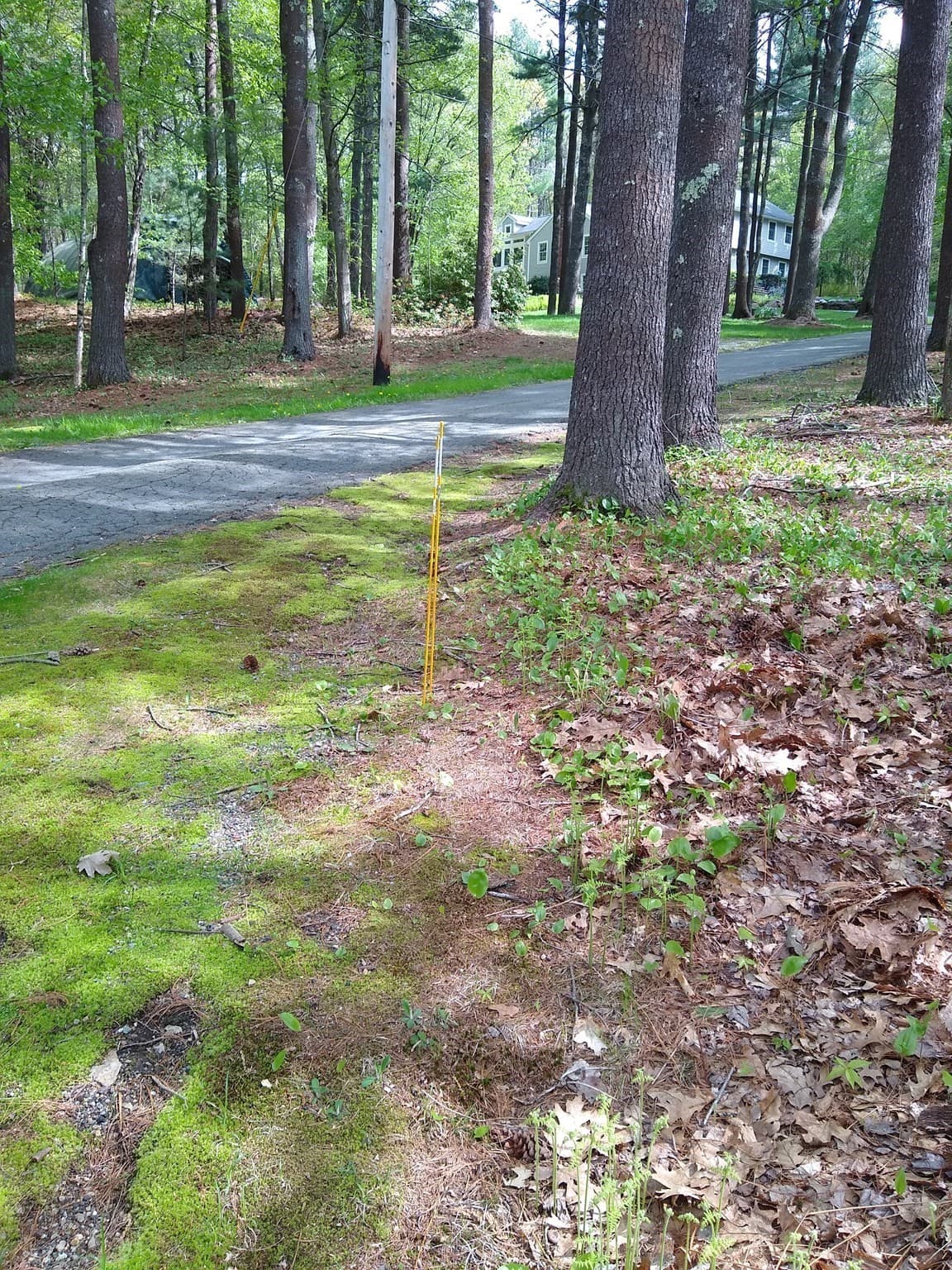 Residential at 534 Ipswich Road, Boxford MA 01921, photo 2 of 6
