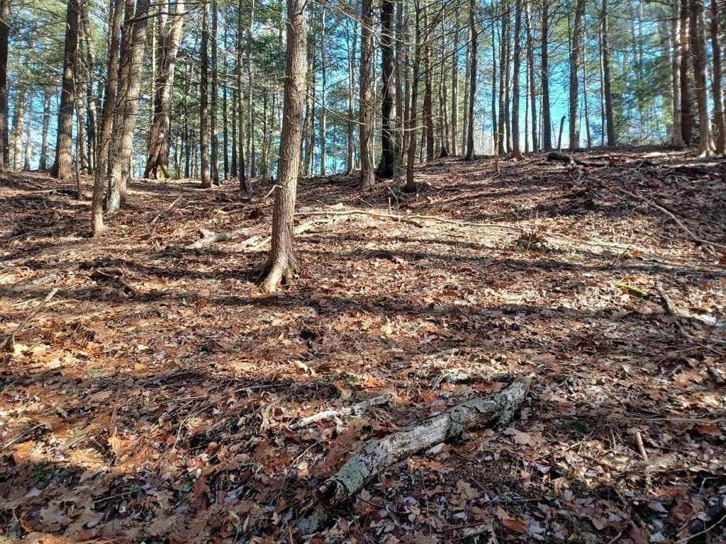 296 Northwest Road, Westhampton MA 01027
