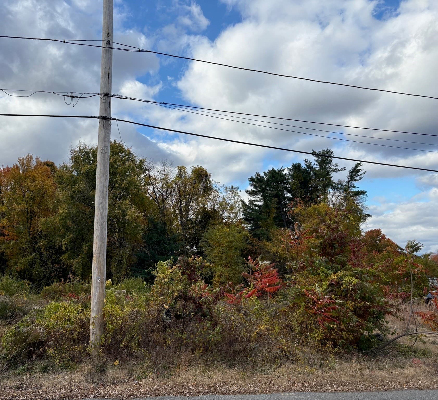 Commercial at 24 Dumaine St, Wilbraham MA 01095, photo 6 of 7