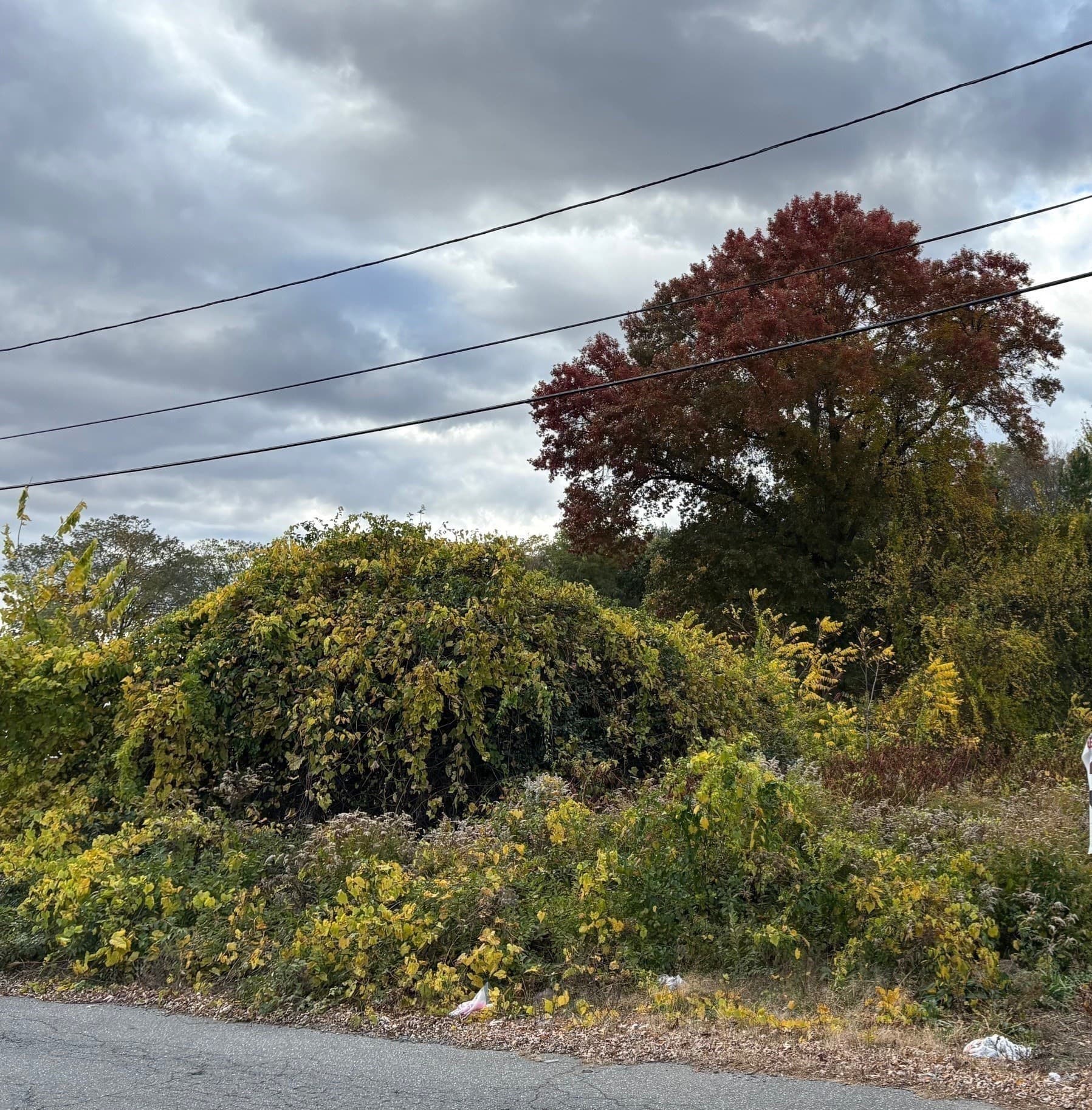 Commercial at 24 Dumaine St, Wilbraham MA 01095, photo 5 of 7