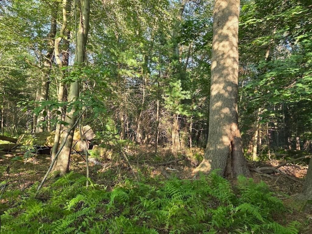 195 E Main St, Norton MA 02766 photo 7