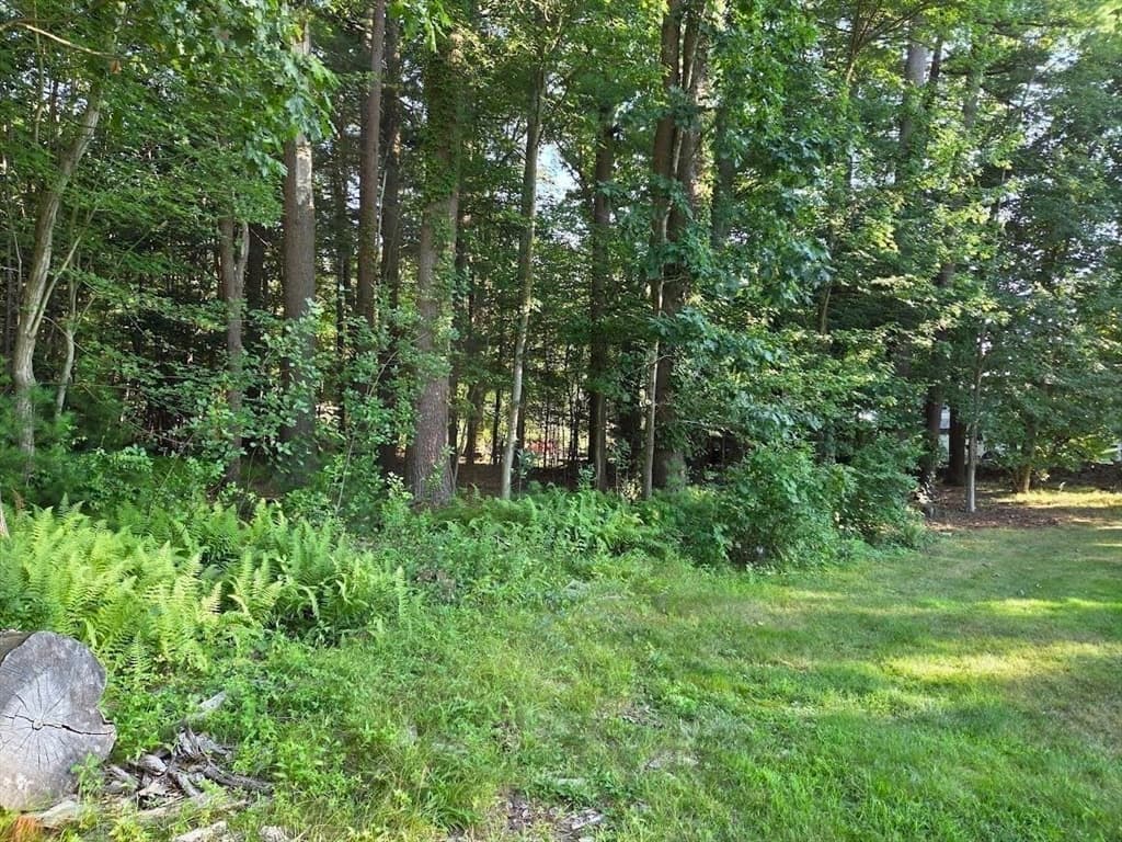 195 E Main St, Norton MA 02766 photo 10
