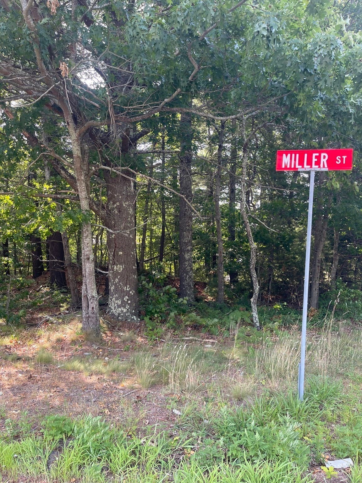 Residential at Rear Wareham Street, Middleboro MA 02346, photo 2 of 14
