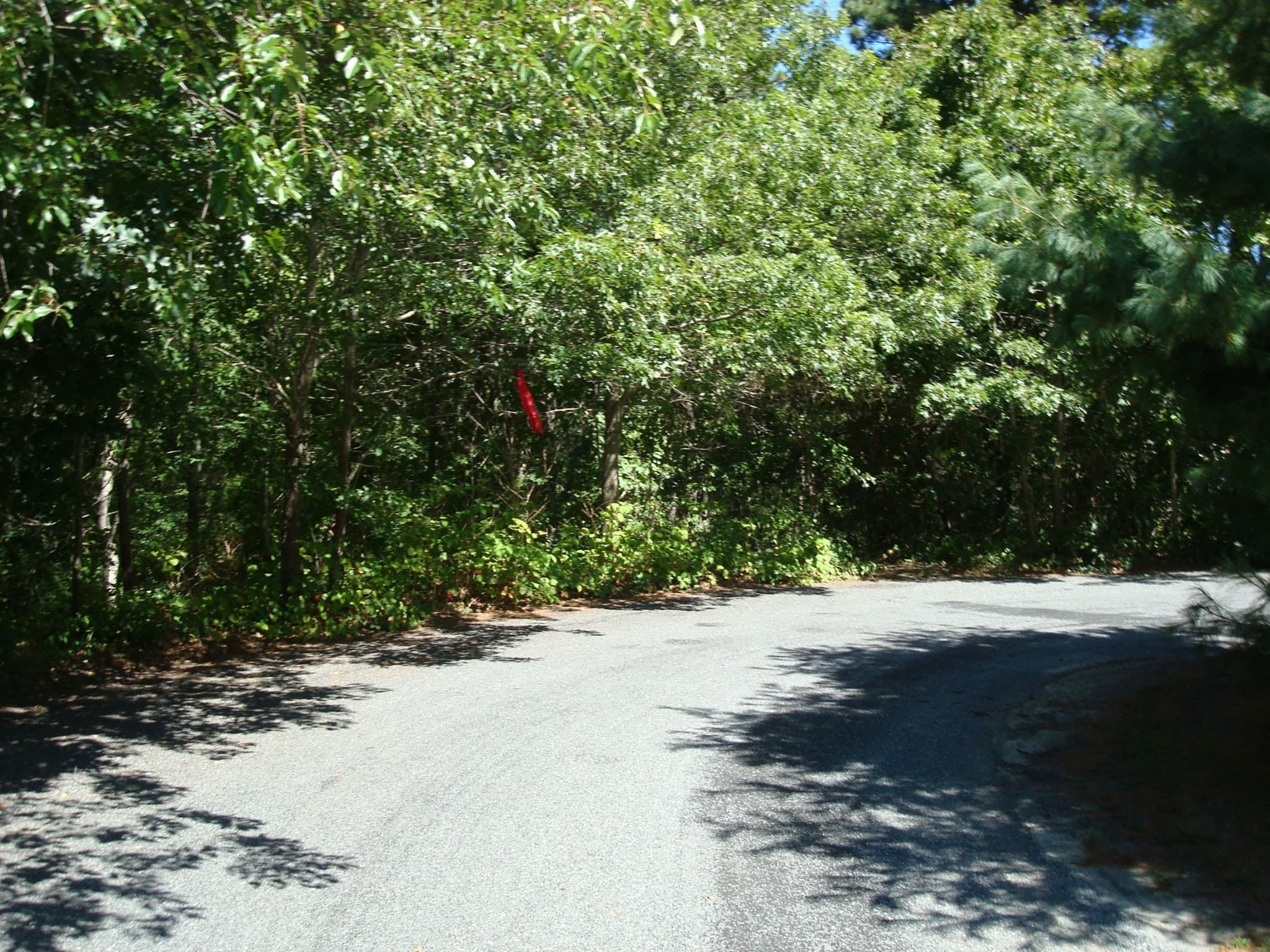 Residential at 44 Iris, Barnstable MA 02630, Barnstable, photo 4 of 13