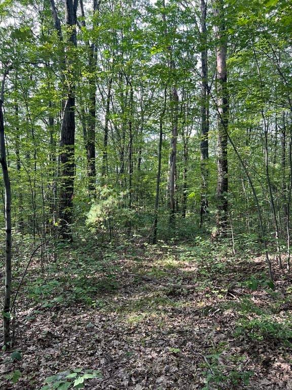 LOT 7 Southbridge Rd, Warren MA 01083 photo 3