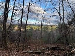 Lot 1 Brimfield Road, Warren MA 01083 photo 3