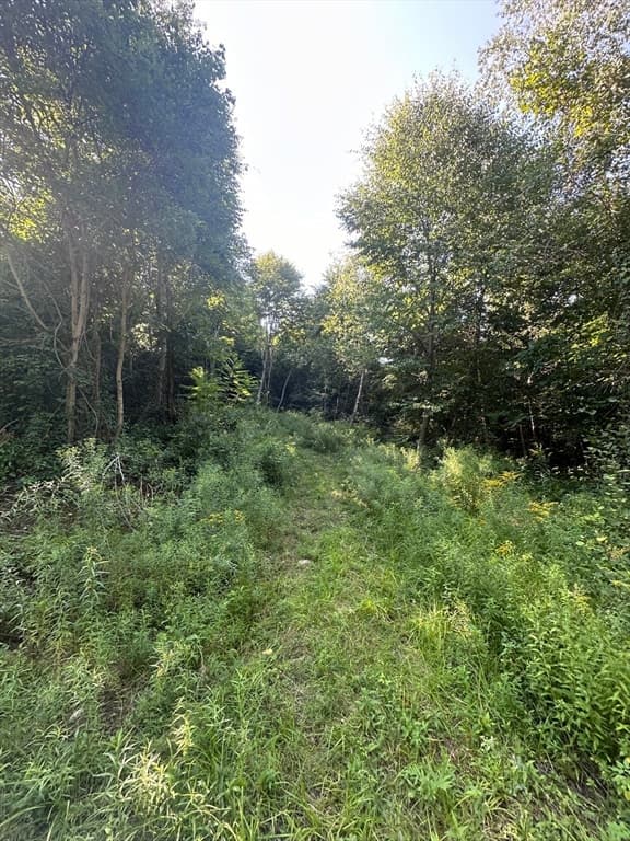 Lot 3 Brimfield Road, Warren MA 01083 photo 3