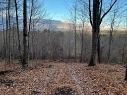 Lot 4 Brimfield Road, Warren MA 01083 photo 3