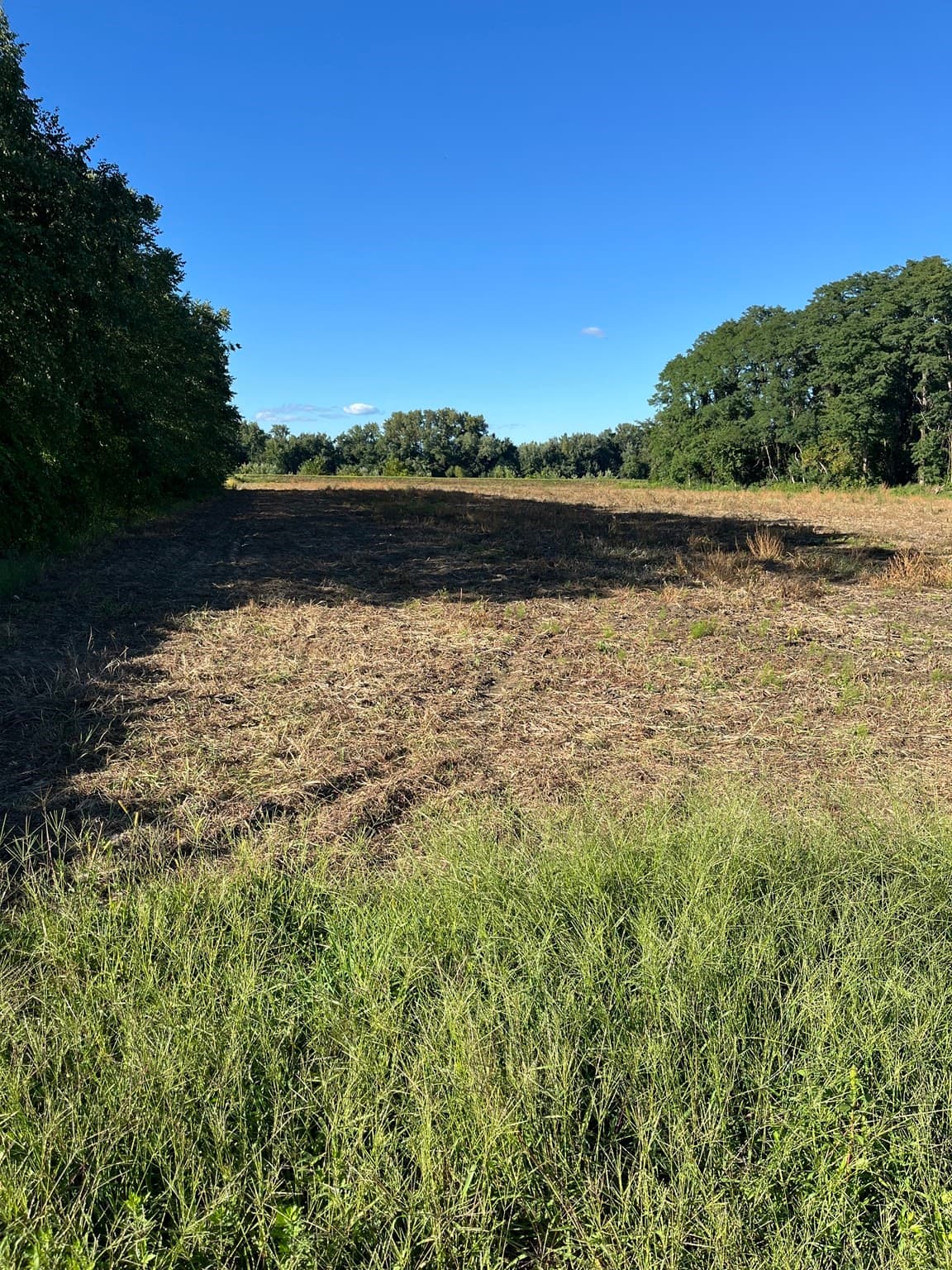 0 North Branch Road, Hadley MA 01035