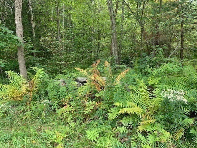 Residential at 289 Monterey Road, Otis MA 01253, photo 26 of 42