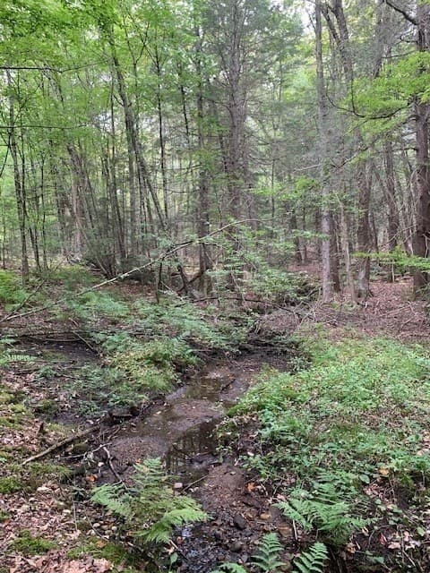 Residential at 289 Monterey Road, Otis MA 01253, photo 32 of 42