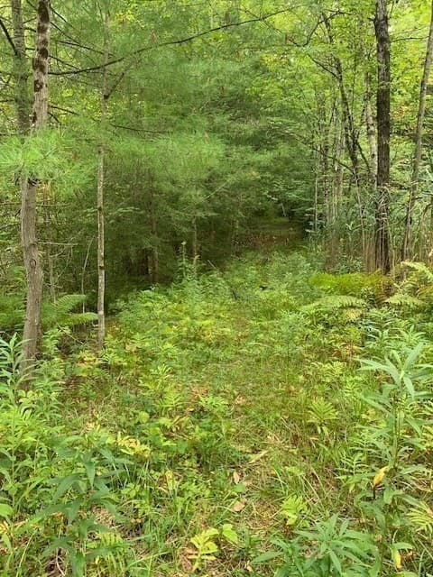 Residential at 289 Monterey Road, Otis MA 01253, photo 28 of 42
