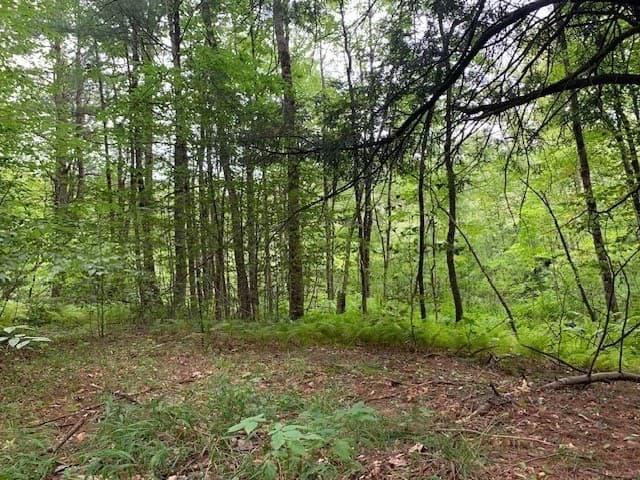 Residential at 289 Monterey Road, Otis MA 01253, photo 20 of 42