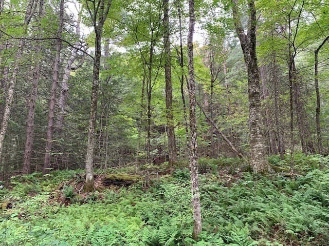 Residential at 289 Monterey Road, Otis MA 01253, photo 9 of 42