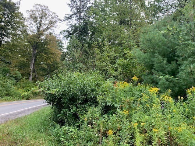 Residential at 289 Monterey Road, Otis MA 01253, photo 41 of 42