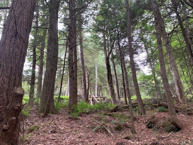 Residential at 289 Monterey Road, Otis MA 01253, photo 18 of 42