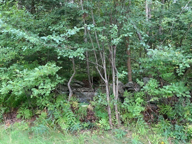 Residential at 289 Monterey Road, Otis MA 01253, photo 37 of 42
