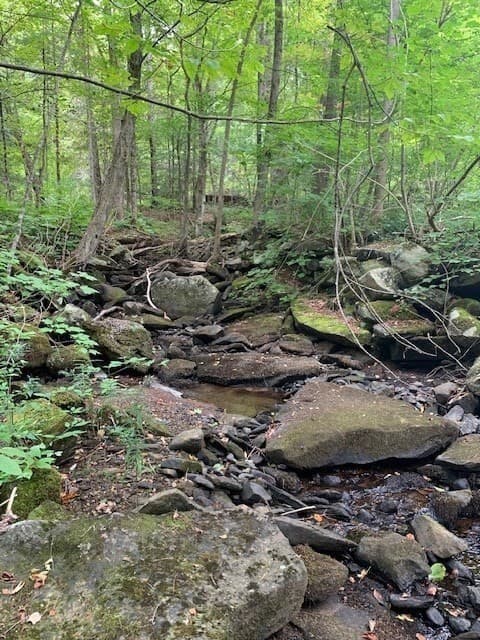 Residential at 289 Monterey Road, Otis MA 01253, photo 15 of 42