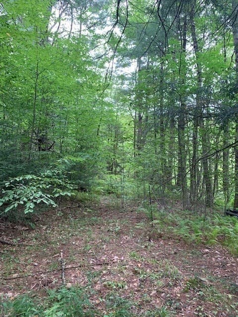 Residential at 289 Monterey Road, Otis MA 01253, photo 19 of 42