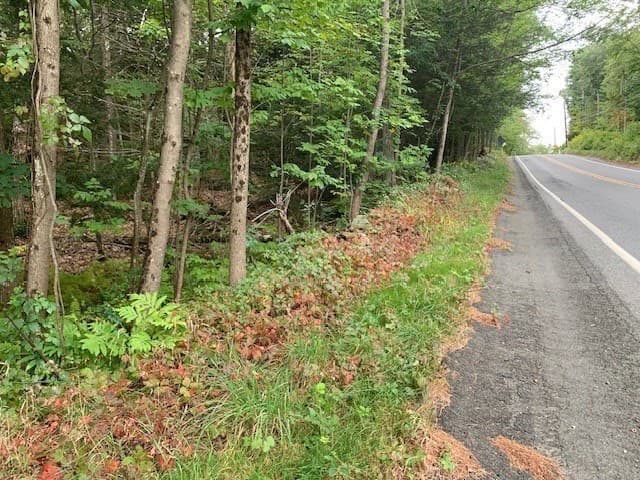 Residential at 289 Monterey Road, Otis MA 01253, photo 35 of 42