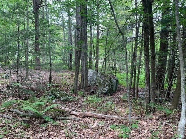 Residential at 289 Monterey Road, Otis MA 01253, photo 31 of 42