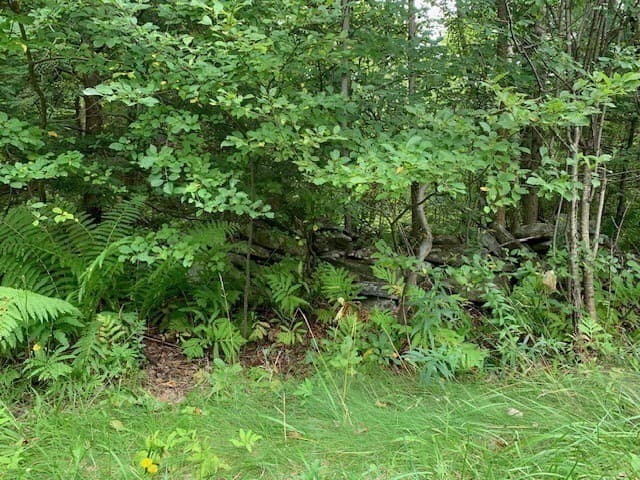 Residential at 289 Monterey Road, Otis MA 01253, photo 25 of 42