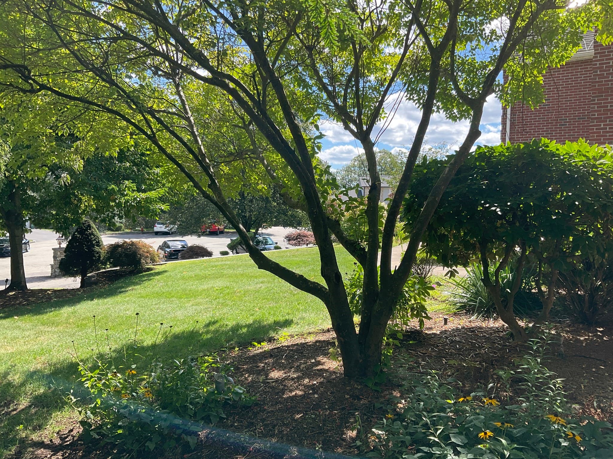 Single Family Residence at 7 Homeland Cir, Saugus MA 01906, Saugus, photo 7 of 42