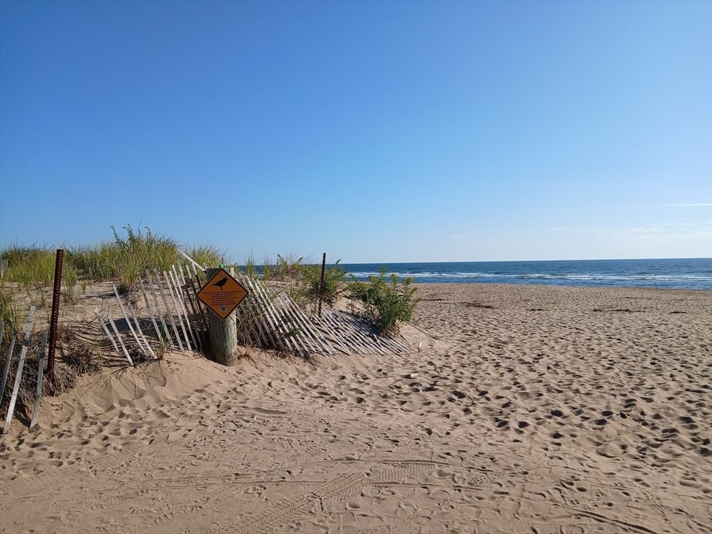 12 53rd St, Newburyport MA 01950 photo 39