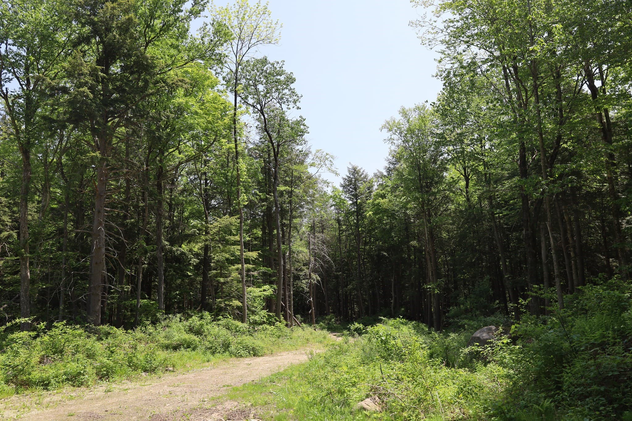 Residential at Lot 3 Yokum Pond Rd, Becket MA 01223, photo 6 of 35