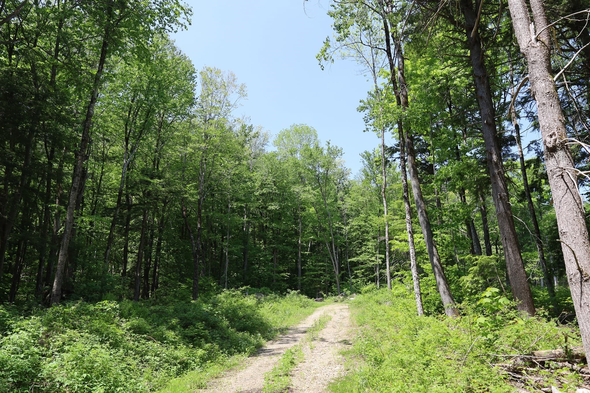 Residential at Lot 3 Yokum Pond Rd, Becket MA 01223, photo 5 of 35