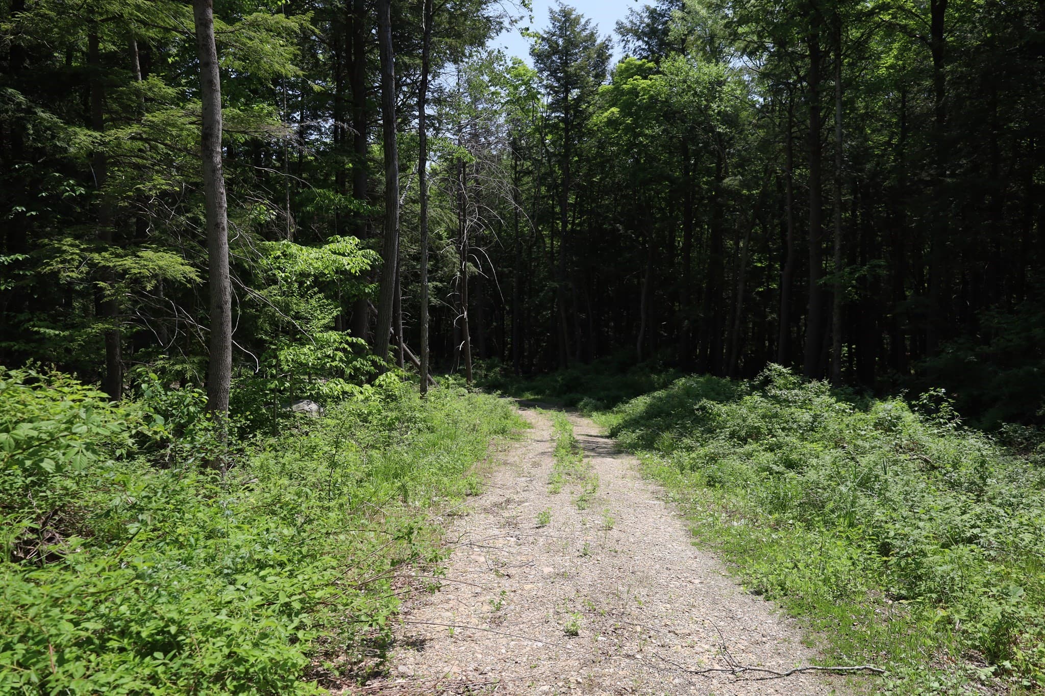 Residential at Lot 3 Yokum Pond Rd, Becket MA 01223, photo 18 of 35