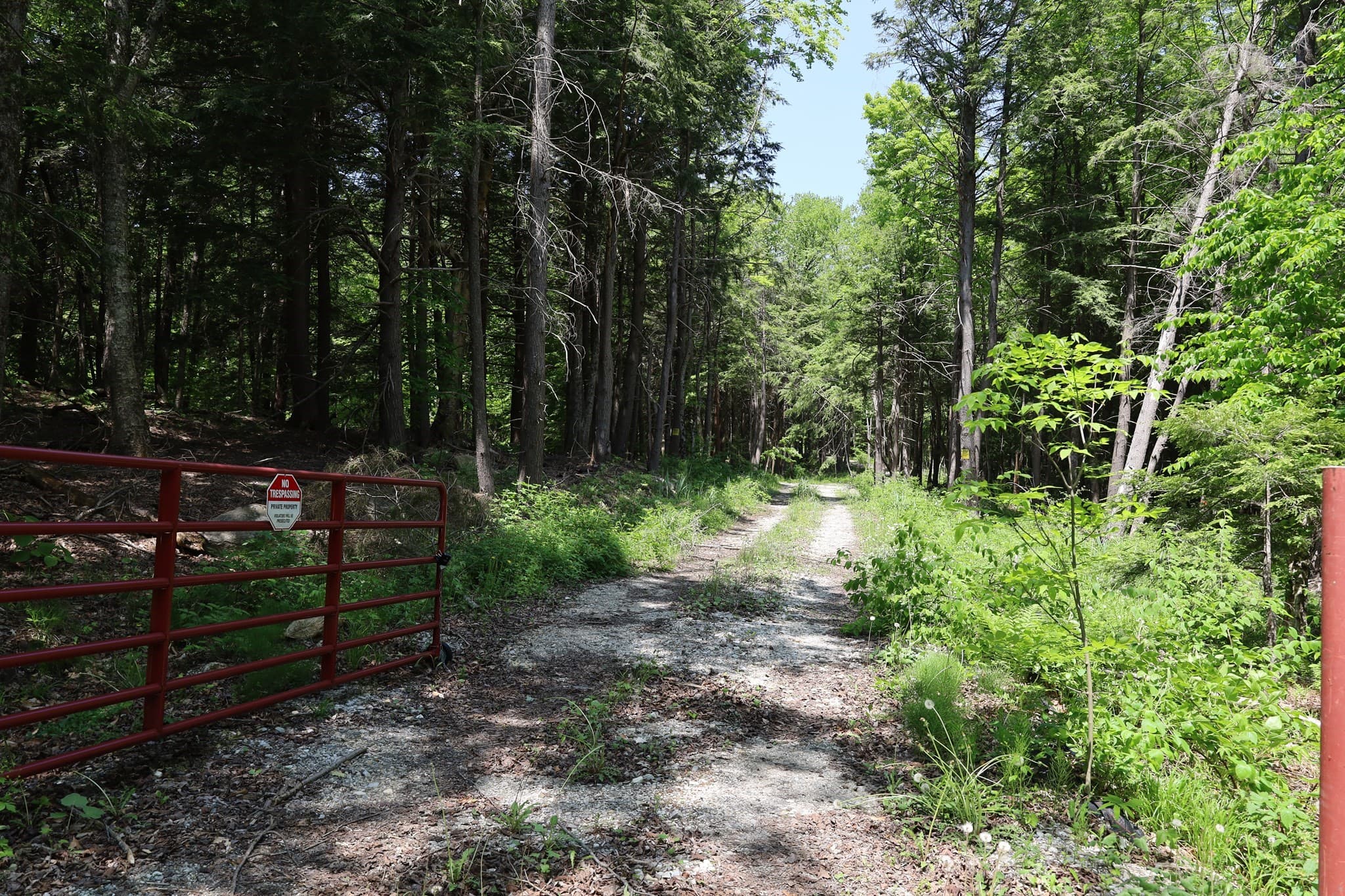 Residential at Lot 3 Yokum Pond Rd, Becket MA 01223, photo 19 of 35