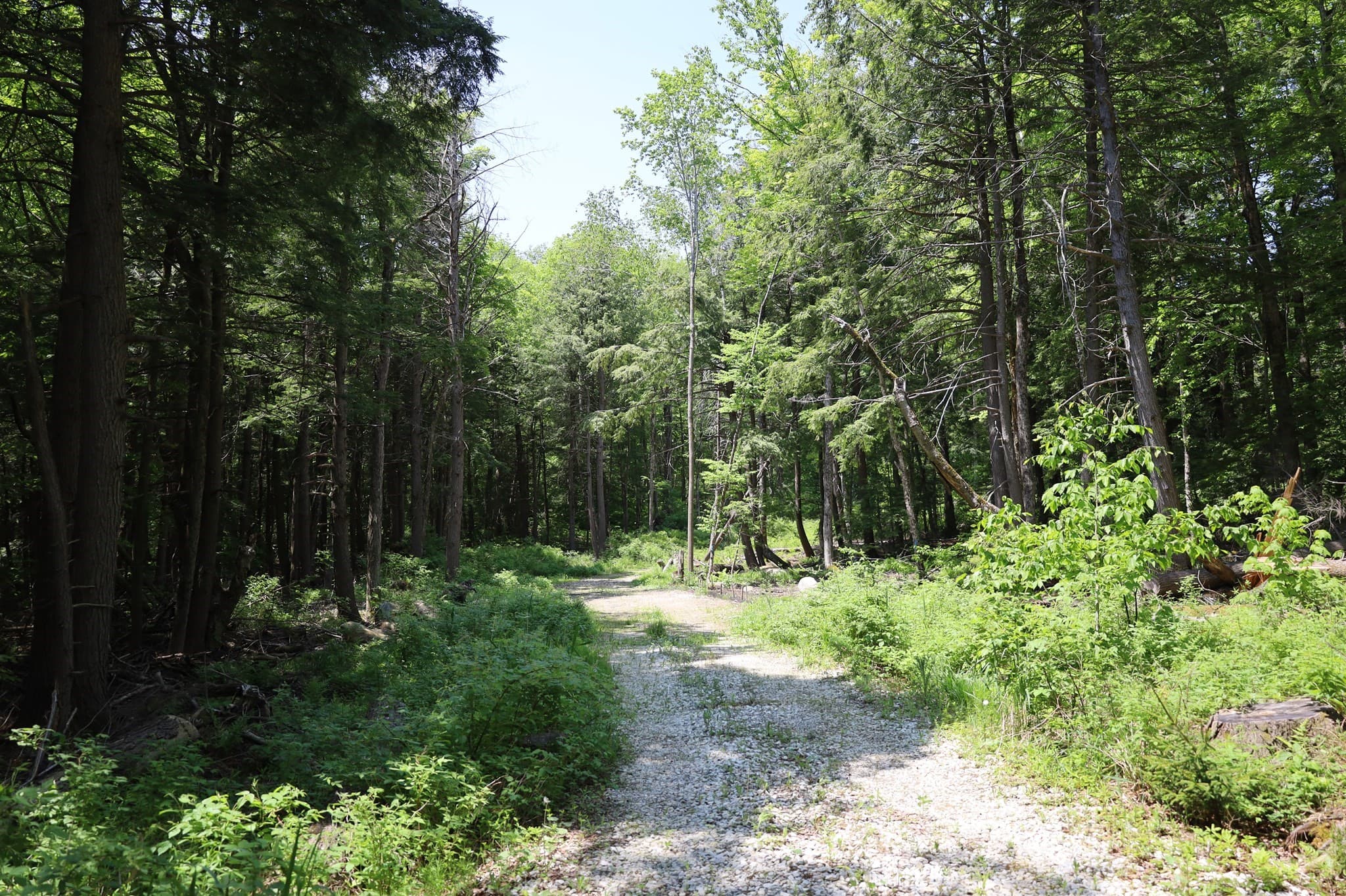 Residential at Lot 3 Yokum Pond Rd, Becket MA 01223, photo 4 of 35