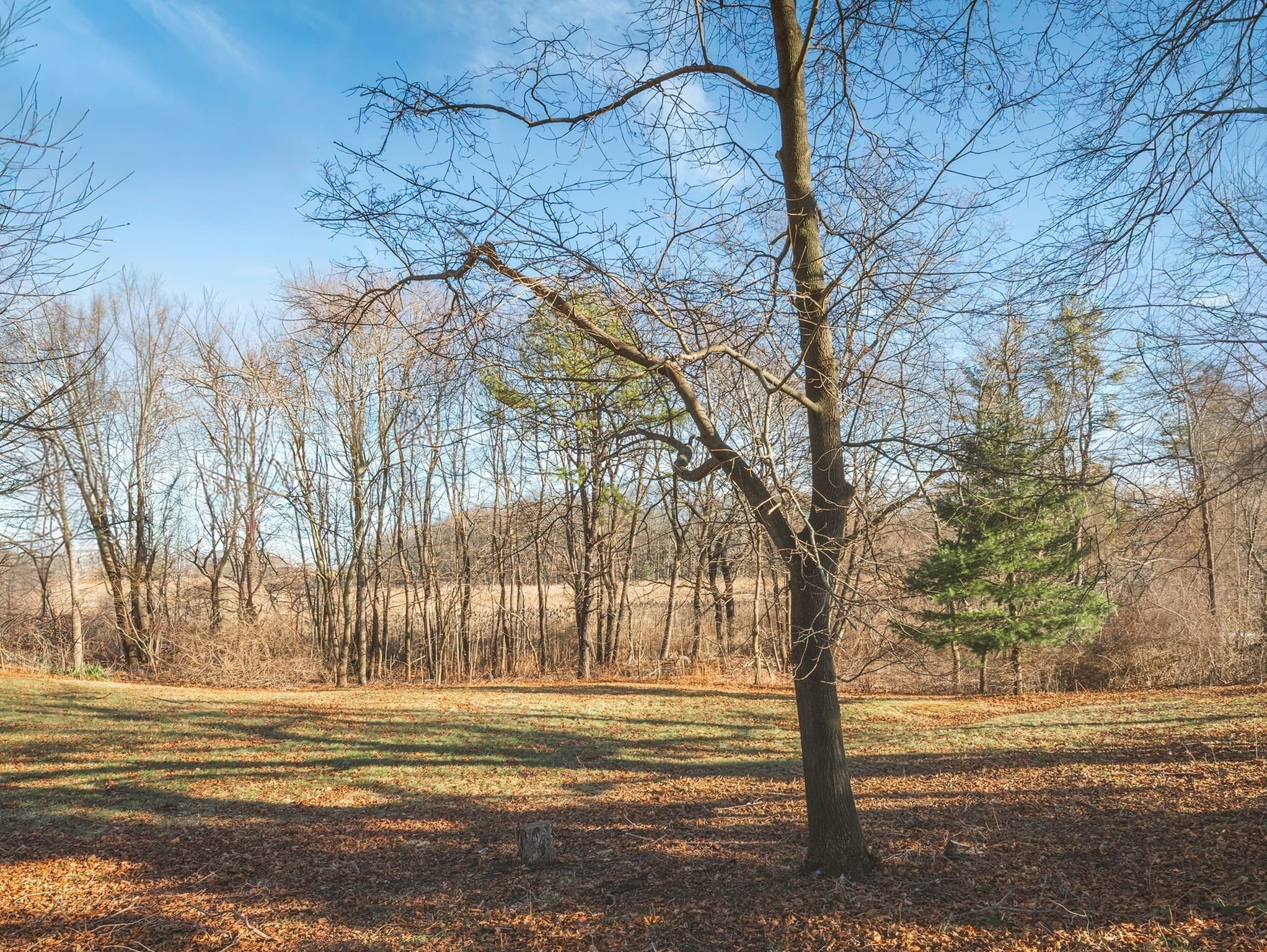 23 Jeffreys Neck Rd, Ipswich MA 01938