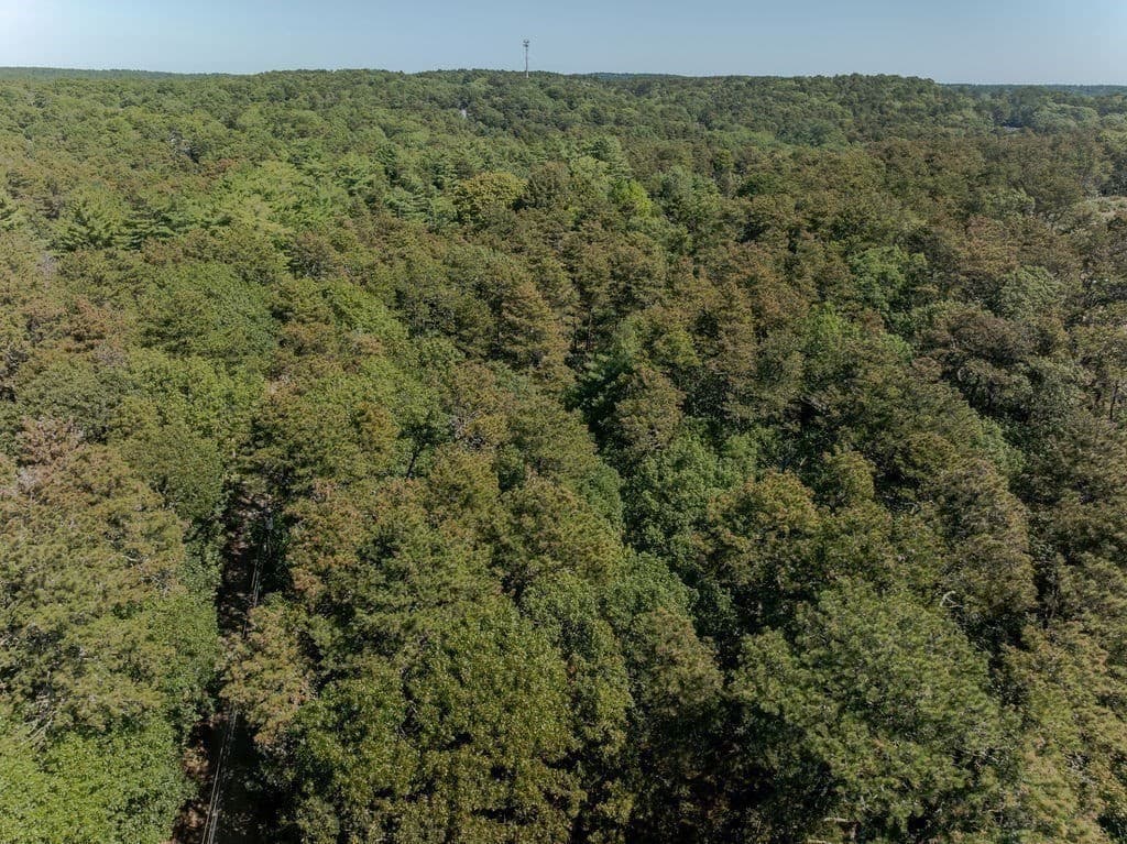 Residential at 40 Old Long Pond Rd, Wellfleet MA 02667, photo 11 of 14