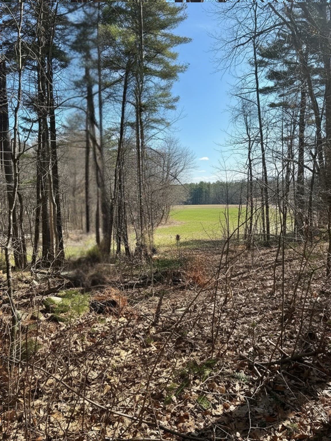 18C Granby Rd., Belchertown MA 01007
