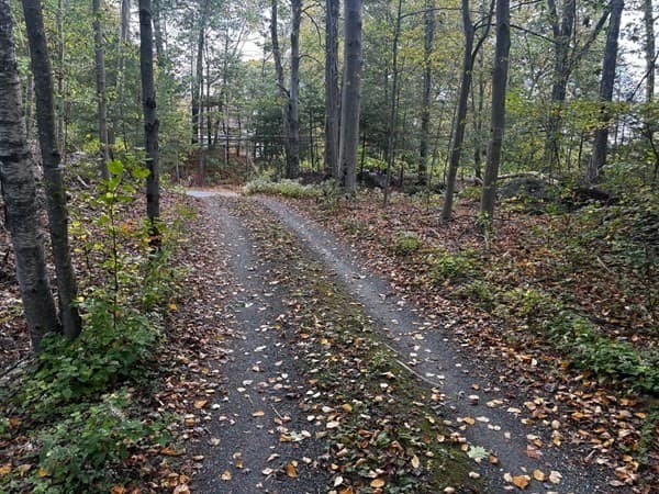 Residential at 0 Woodland Way, Russell MA 01071, photo 6 of 8
