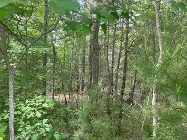 170 Elm Street, Hanson MA 02341